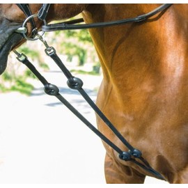 Blenheim Outline Training Aid-Havana Full