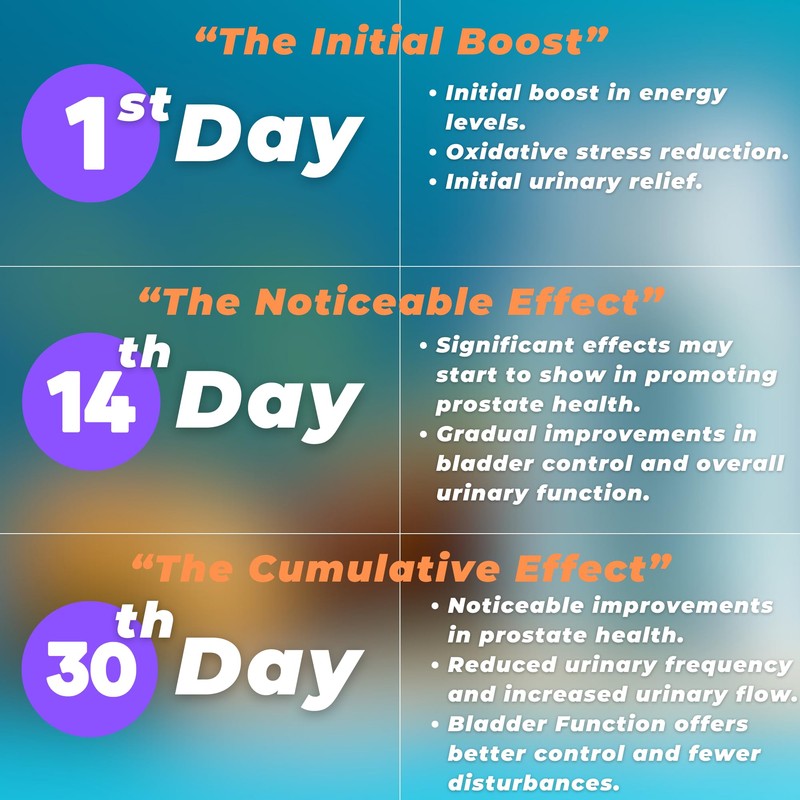 TODICAMP Prostate Support Supplement Formula with Saw Palmetto Extract and