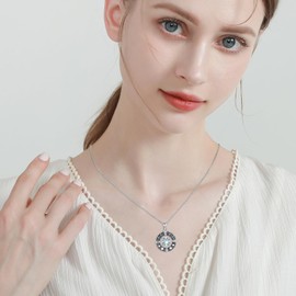 ABIGY Compass Necklace for Women 925 Sterling Silver Travel Friendship Talisman Necklace Moonstone Necklace Compass Graduation Jewellery Gifts for Sister Girlfriend