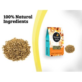 VEDIQUE HERBS Cumin Seed (Jeera | Cuminum cyminum) - 250g (8.8oz) | Raw, Crude, Dried | Whole Seeds