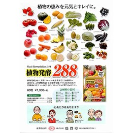 植物発酵288（60粒入）3個セット 廣貫堂 広貫堂