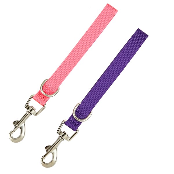 Purple & Hot Pink Dog Training Leash with Traffic Handle