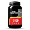 Aminoacidos Pre Entreno Bcaas +glutamina 1kg Warhorse Varios