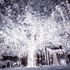 300 LED Curtain Lights for Decorations USB String Lights 3