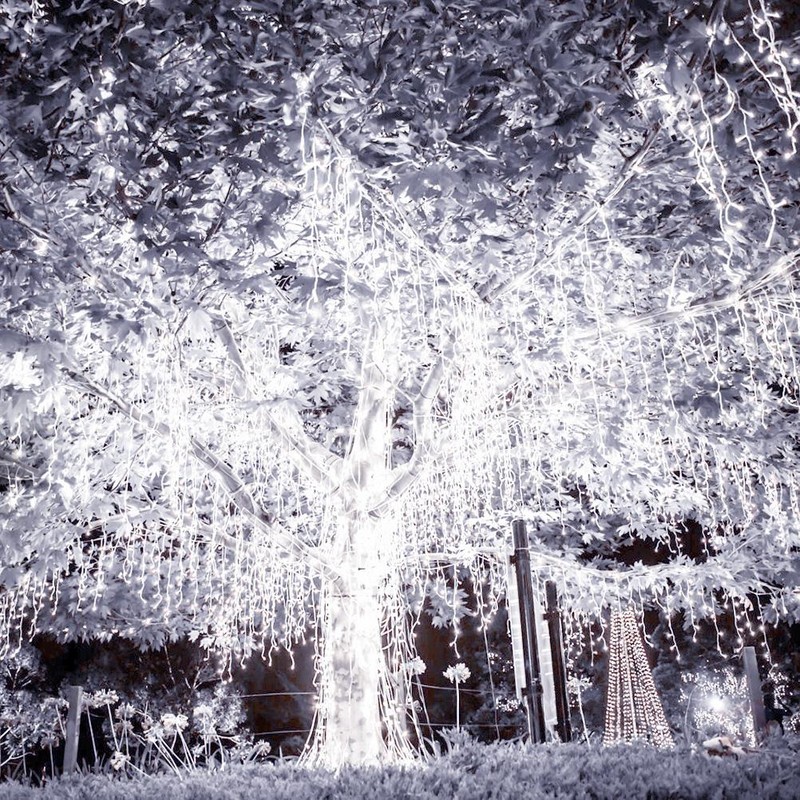 300 LED Curtain Lights for Decorations USB String Lights 3