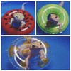 Bearded Dragon Swimming Pool with Inflatable Float Set - Foldable