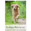 Golden Retriever (Wandkalender 2026 DIN A3 hoch), CALVENDO Monatskalender (CALVENDO