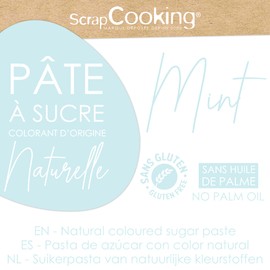ScrapCooking - Fondant Pastel Blue "Mint" 250 g - Dye from Natural Origin - No Gluten, No Palm Oil - For Cakes, Pies - Blue - Made in Europe - 7626