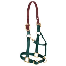 Weaver Equine Breakaway Original Adjustable Chin and Throat Snap Halter, Yearling Horse