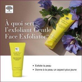 New Nordic Gentle Face Exfoliator with Hibiscus Flowers and Apricot Seeds - Promotoes Skin Renewal - All Skin Types - For Daily Use - 75ml