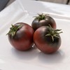Back to The Roots 100% Organic Seed Packet - Tomato