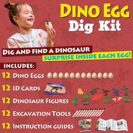 DANCING BEAR DANCING BEAR Dinosaur Egg Dig Kit Party Pack for 12 Kids, Excavate 12 Surprise Dinosaurs, Instruction Guides & ID Cards, Paleontology STEM Education, Fun Science Activity Gift Sets for Girls and Boys