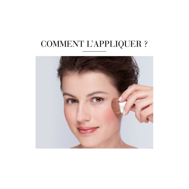 Bourjois Fard Joues 34