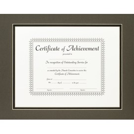 Craig Frames 11x14-Inch Distressed Silver Document Frame, Double Mat with Single 8.5x11-Inch Opening