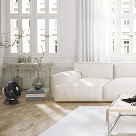 Vornado 660 Large Whole Room Air Circulator Fan for Home, 4 Speeds and 90-Degree Adjustable Tilt, Removable Grill, 10 Inch, Floor Fan for Bedroom, Office, Black