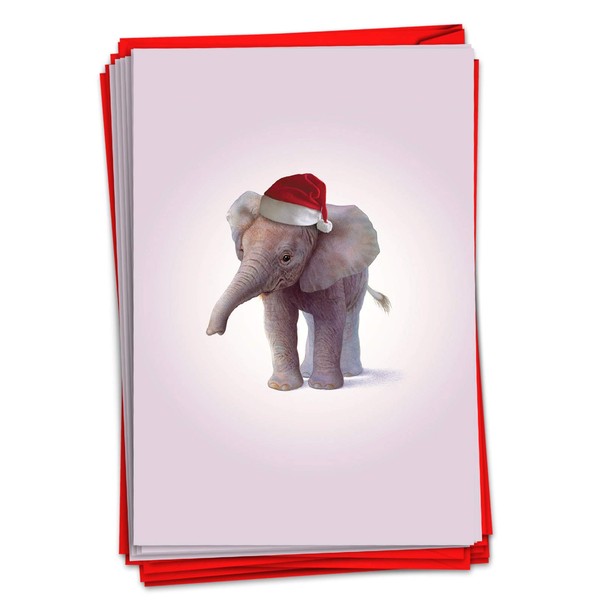 The Best Card Company - 12 Boxed Christmas Cards with Envelopes - Adorable Holiday Animals, Fun Kids Notecard Set (1 Design, 12 Cards) - Christmas Zoo Babies Elephant B6726DXSG