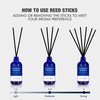 Xcleen Reed Diffuser Set for Home| 3.7 Oz(110ml) Hawaiian Holiday