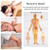 Chinese and English Acupoint Wall Chart Front Large Size Comprehensive