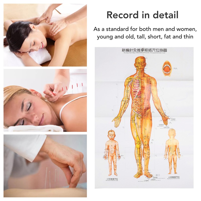 Chinese and English Acupoint Wall Chart Front Large Size Comprehensive