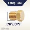 LTWFITTING Hex Plug Male Screw Size R (PT) 1/8 (Pack