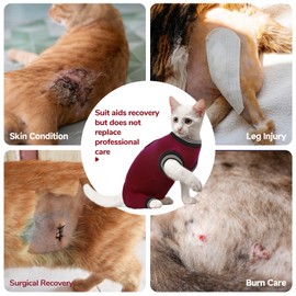 Yternal Cat Surgical Spay Suit with Leg Sleeves, Pet Surgical Pajamas for Abdominal Wound Skin Diseases, Cone of Shame Alternative Anti Licking Suit Burgundy M