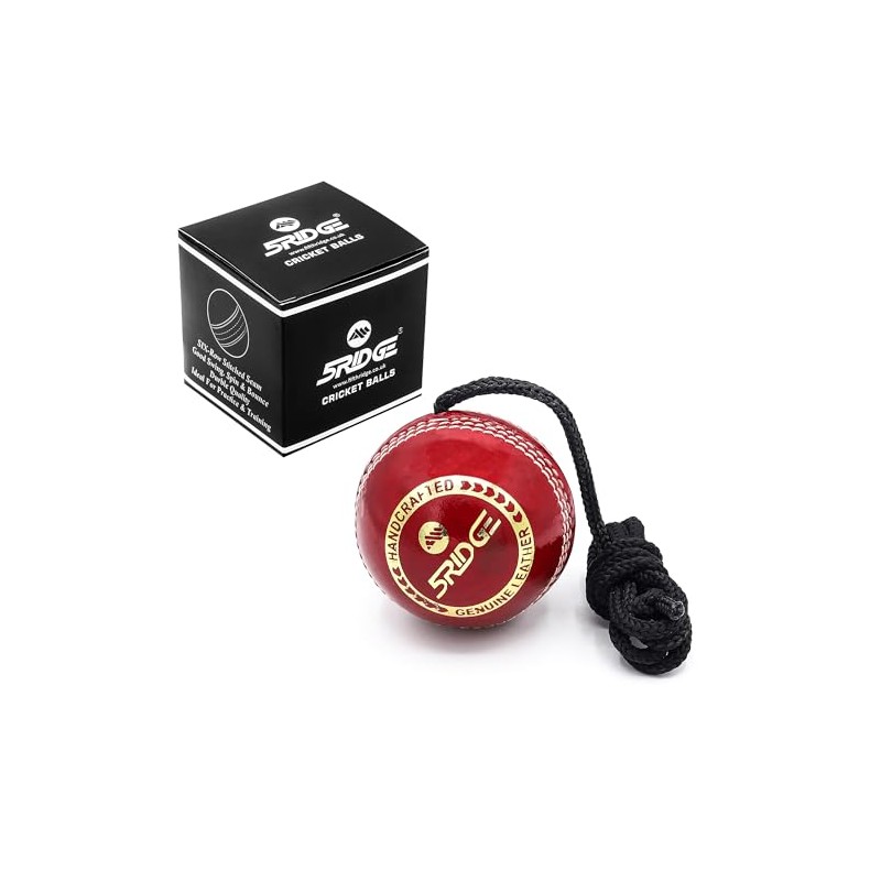 5RIDGE String Cricket Balls – Cricket Shot Practice Hanging Ball