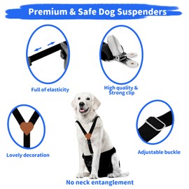 WaJexy Dog Suspenders for Diapers Female and Belly Bands, Adjustable Stay-Put Straps with Thick Elastic Nylon, 2pcs Set (Black Large)