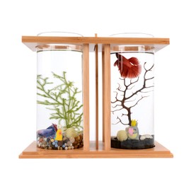 Creative Bamboo & Wood Ecological Fish Tank - Dual Glass Desktop Mini DIY Betta Fish Tank Aquarium