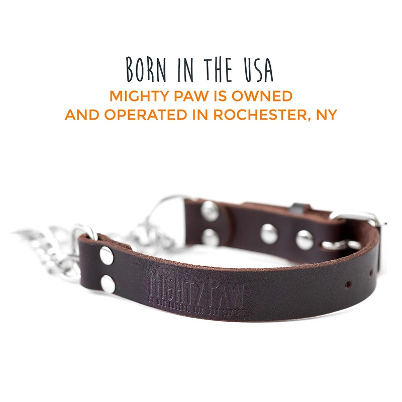 Mighty Paw Martingale Dog Collar - No Pull Design -