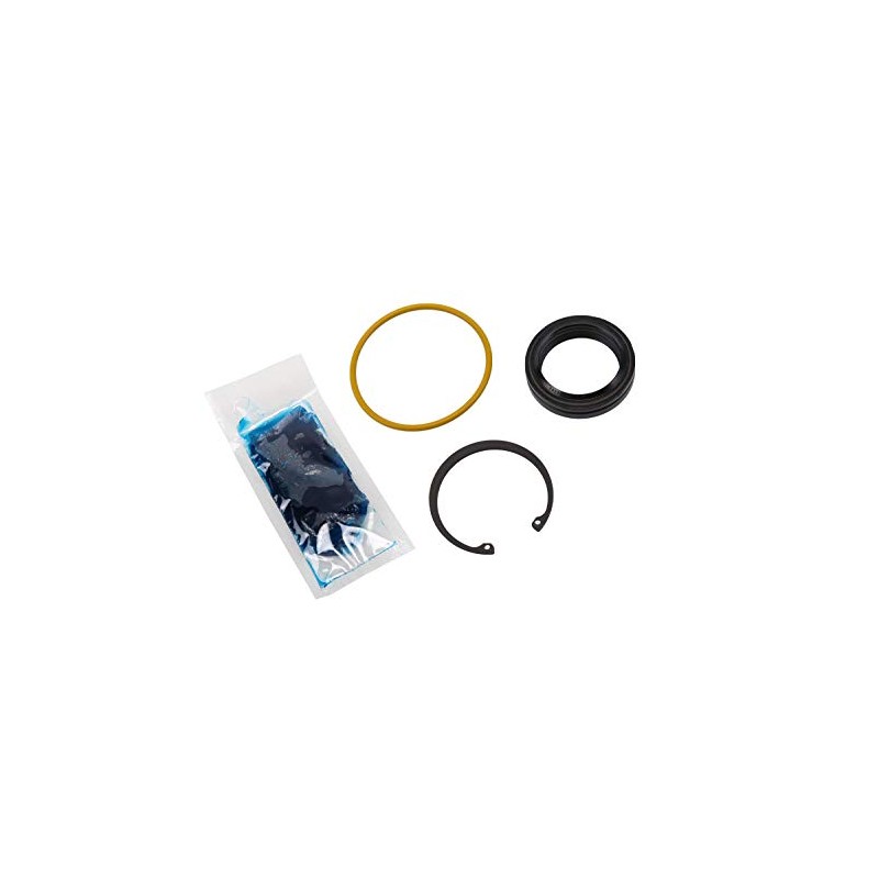 GM 19256667 Steering Gear Pitman Shaft Seal