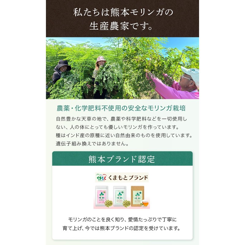 【熊本県産 無添加 無農薬】 くまもとブランド認定 モリンガ100% モリンガの粒 240粒（30日分） 4袋 天草モリンガファーム