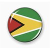 Flag of Guyana | 3D Domed CAR Emblem Badge Sticker