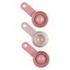 New Tone Seasoning Stocker Measuring Spoons, Set of 3
