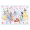 Princess Ribbon Foldable Portable Picnic Mat 90*60cm 2ea