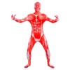 VSVO Muscle Anatomy Costume Bodysuits (Small)