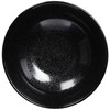 Hayashi Kinnosuke Shoten Mino Ware Noodle Bowl Oil Droplets 501-26-41E