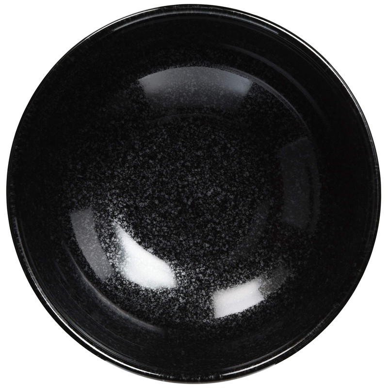 Hayashi Kinnosuke Shoten Mino Ware Noodle Bowl Oil Droplets 501-26-41E