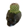3D Printed Black Geometric Skull Planter - Skeleton Pot -