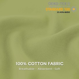 Set of 2 Cushion Covers, 100% Cotton, 65 x 65 cm, 2 Pieces, Super Soft Premium Jersey Pillowcase, Light Green