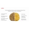 Pasiphae Unbleached Honeycomb 100% Natural Bath Sea Sponge from Greece,