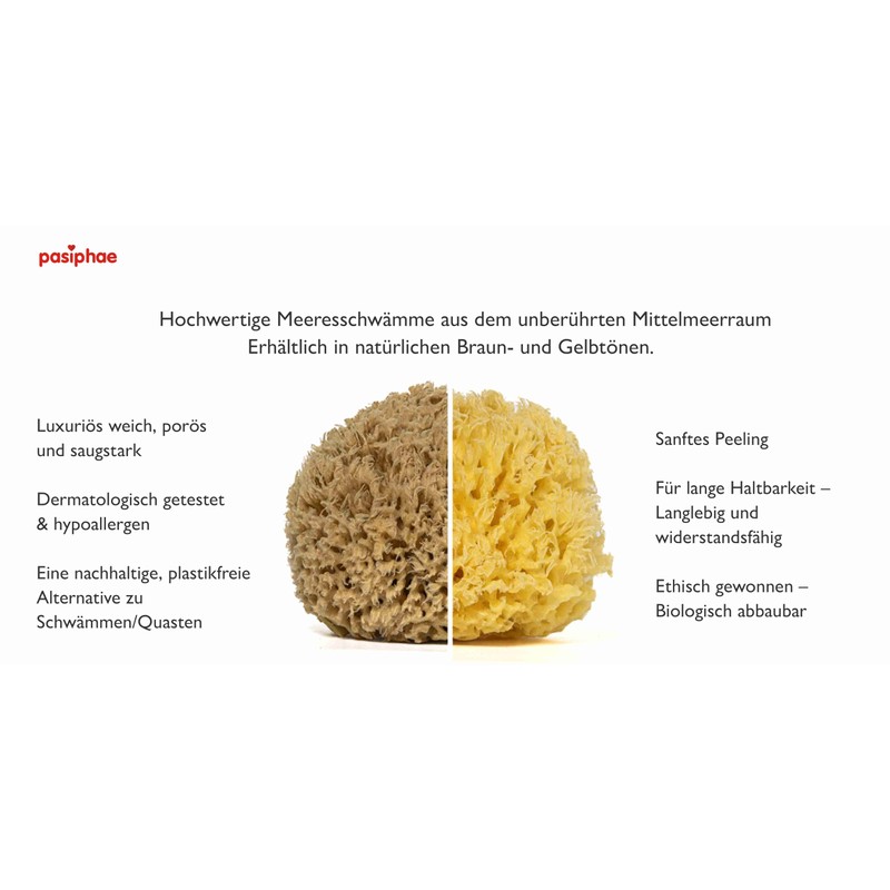 Pasiphae Unbleached Honeycomb 100% Natural Bath Sea Sponge from Greece,