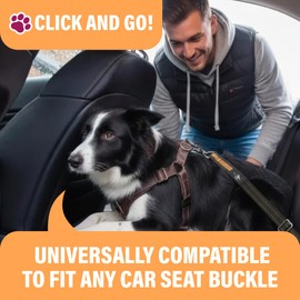 Active Pets Orange Car Seat Belt for Dogs, Attaches to Harness & Collar, Adjustable 18" - 24" Travel Restraint System Fits Small - Large Pups for Safety & Comfort, Essential Pet Supplies & Accessories