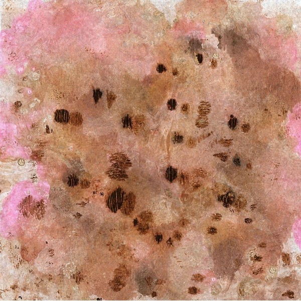 Sugared and Bronzed-R Poster Print - Melissa Renee (24 x