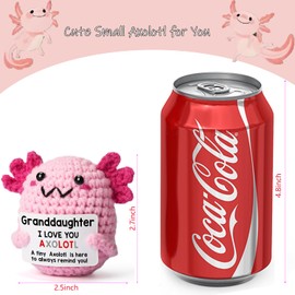 JIYANMEI Granddaughter Gifts from Mom Dad, Mini Crochet Axolotl for Year Old Little Girl Kid from Mother Father,Christmas Stocking Stuffers, Easter & Valentines, Teen Girls Teenage Birthday Gifts