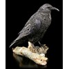 Birsppy FVLFIL Black Raven Figurine with Key - The Raven