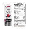 CELSIUS Sparkling Wild Berry, Sugar Free Energy Drink, 12 Fl