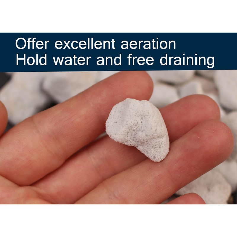 5 QT Professional Grade Horticultural Organic Perlite (5 QT, Large