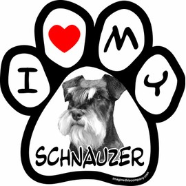 Imagine This 5-1/2-Inch by 5-1/2-Inch Car Magnet Picture Paw, Schnauzer