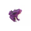 Safari Frog, Purple Realistic Rainforest Garden Figure Model Replica Kids