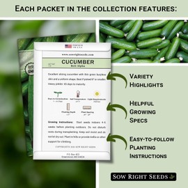 Sow Right Seeds - Cucumber Seed Collection for Planting - Pale Armenian, Pickling, Lemon, Beit Alpha, Marketmore Variety Pack - Non-GMO Heirloom Packets - Plant and Grow a Home Vegetable Garden